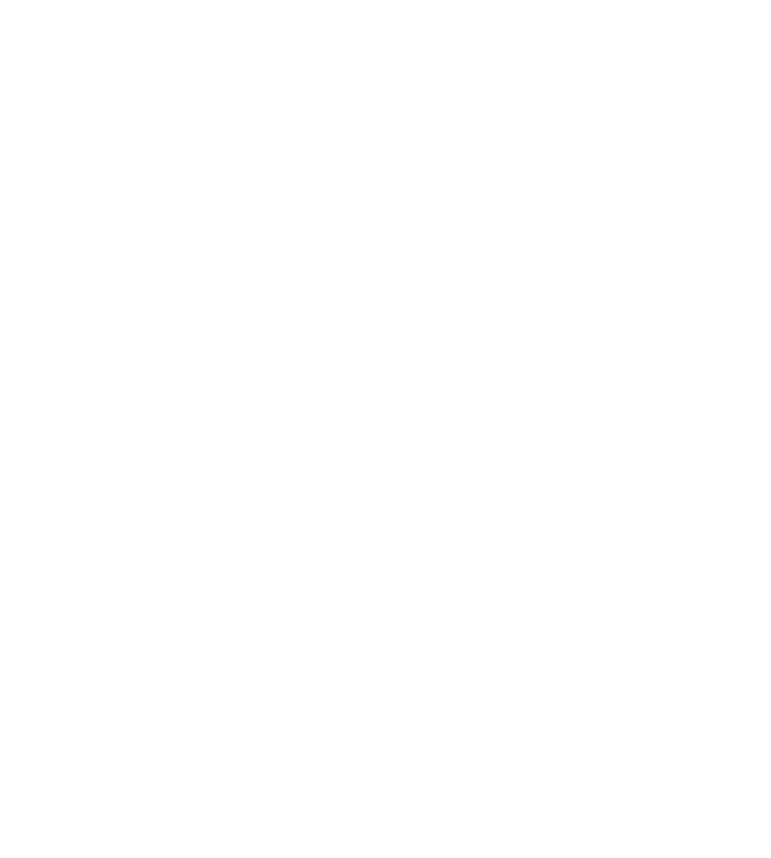 Logo Agence Loup Digital